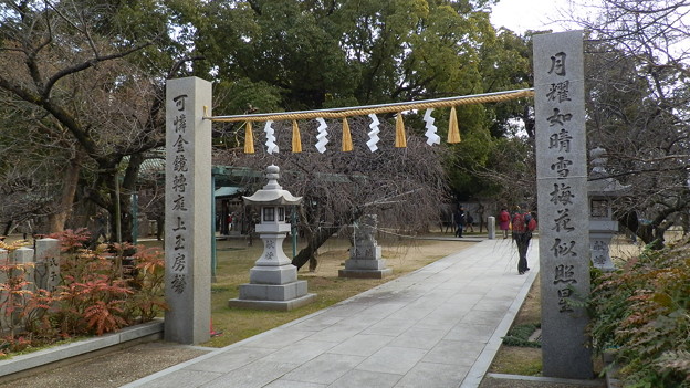 P1079426