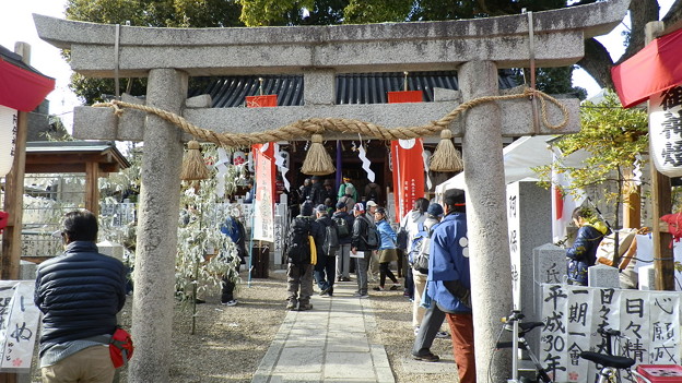 P1079445