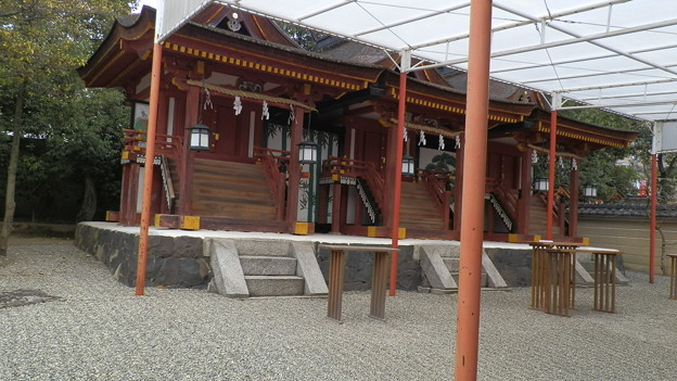 P1149642