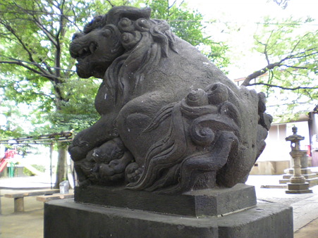 IMGP1901