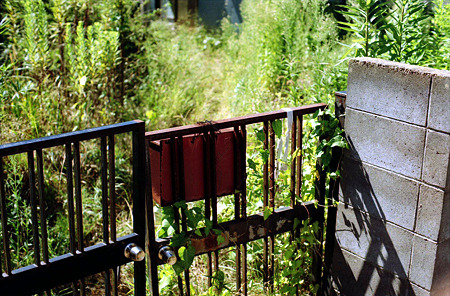 Image1304（PENTAX SP）
