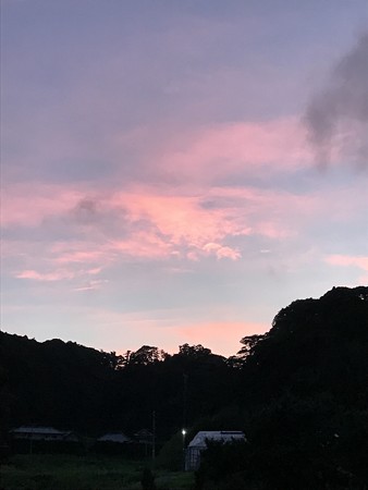 IMG_2951