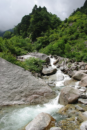 IMGP3875