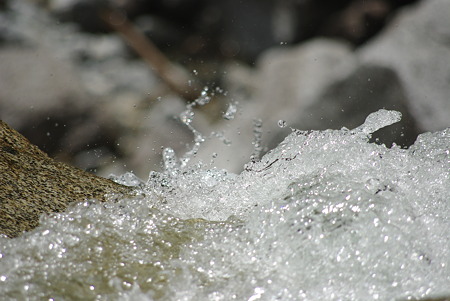 IMGP3888