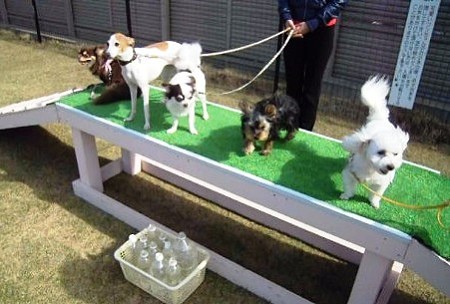 DSCN1999_0001