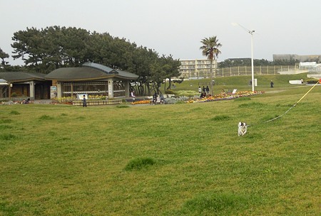 DSCN1821