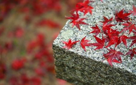 鍬山神社85