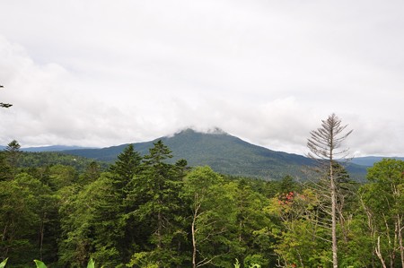 雄阿寒岳
