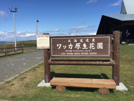 ワッカ原生花園