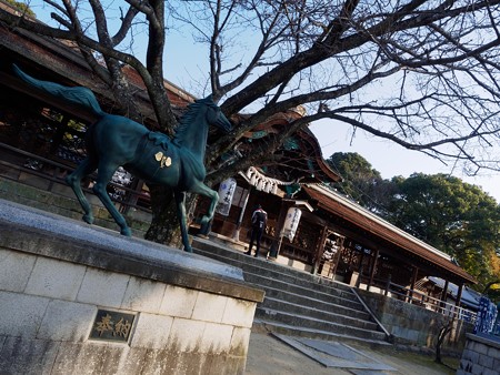賀茂神社2