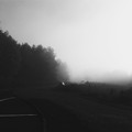 Photos: In the Mist 10-14-17