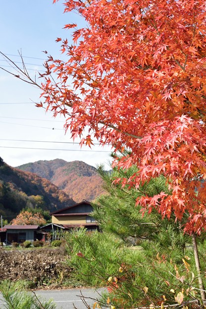 DSC_0017_017御嶽山　献花
