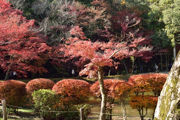 DSC_0027-001虎渓山永保寺