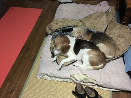 これは別の日だけど、やっぱりぴったりんこだね、うふふ