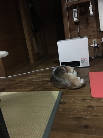 ストーブの前が大好き