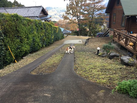 うみちゃんを探せ!その1(ヒント、意外な所にいるよ)