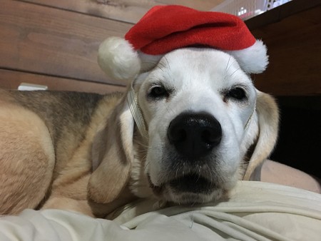 眠いうみサンタ