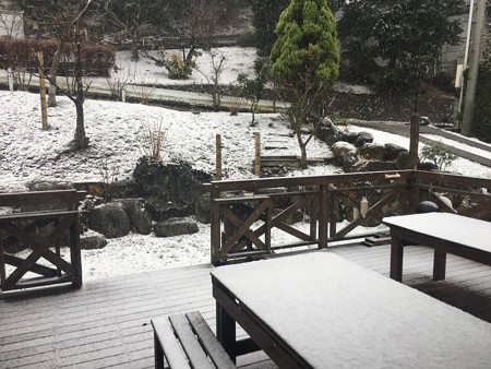 降ってきましたね、、(これはまだ序の口の写真)
