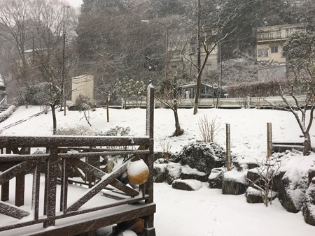 積もってくるよ、、、ドキドキ