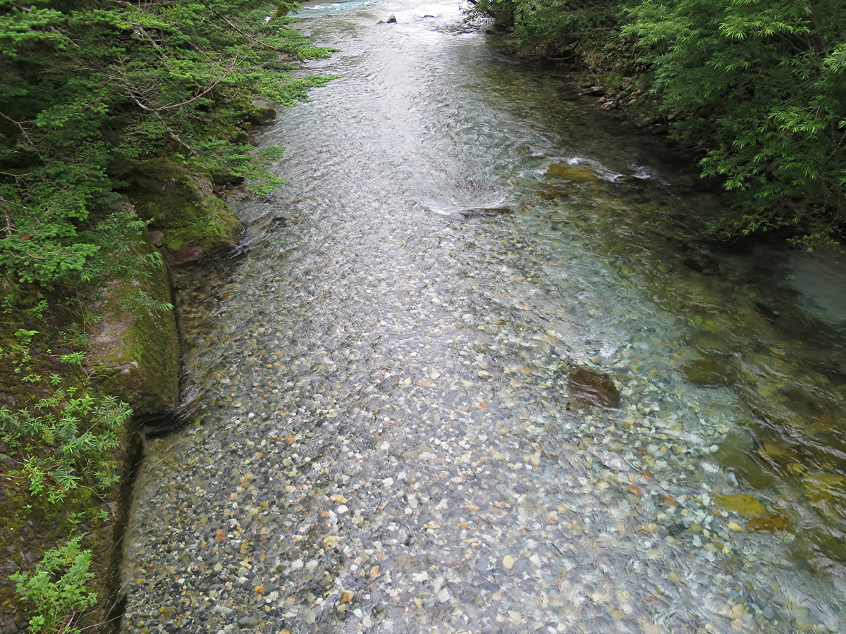 河童橋散策3