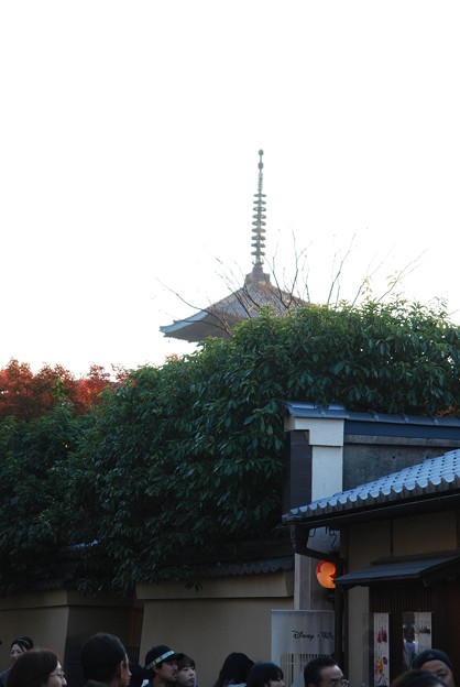 2010_1121_160449　高台寺からみる八坂の塔