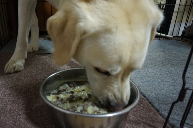 よし