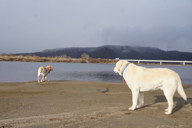寒波襲来