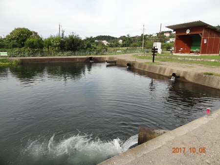 新規開拓・釣りキチけん太