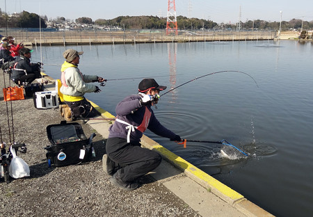 座間養魚場ドットコムに参戦…　健闘^^