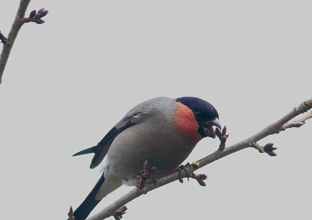205gh5