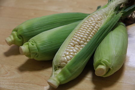 幻の白いとうもろこし