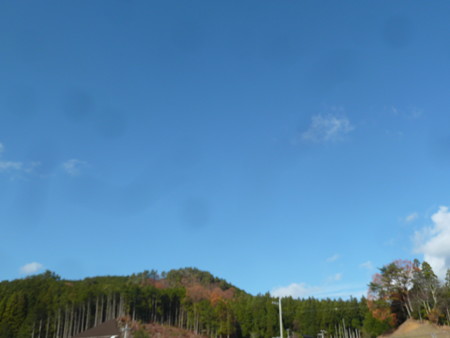 奈良2014 004