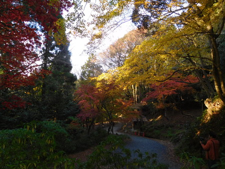 湖東三山2017 109