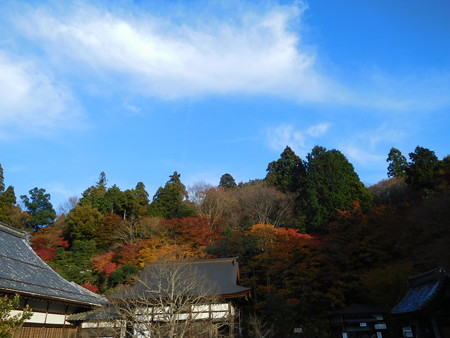 湖東三山2017 119