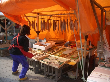 能登半島2010 110