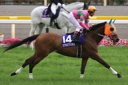 カワカミプリンセス（09/05/17・第4回 ヴィクトリアマイル・東京競馬場 