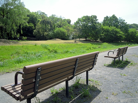 野川を望む