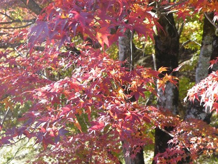 DSCF9417_R