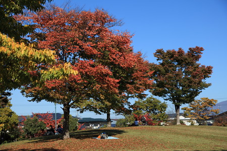 のんびりのんびり