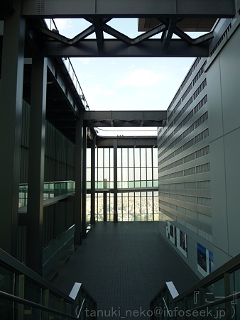 111101-ミッドランド展望台 (33)