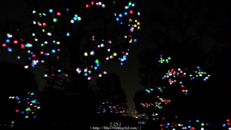 ひかりの実inジョイナス(夜) (5)