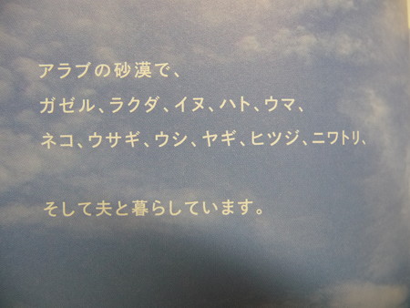 砂漠のわが家 (3)