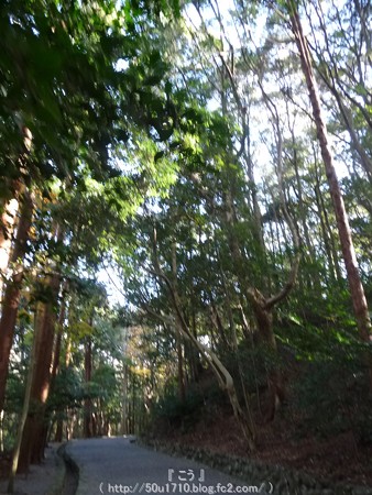 141223-月読宮 (5)
