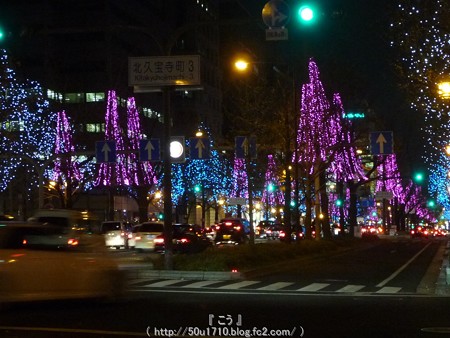 141223-大阪 御堂筋イルミネーション (59)