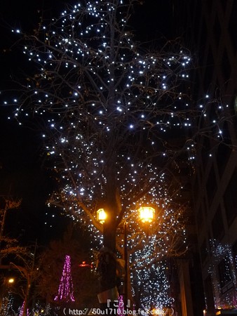141223-大阪 御堂筋イルミネーション (61)