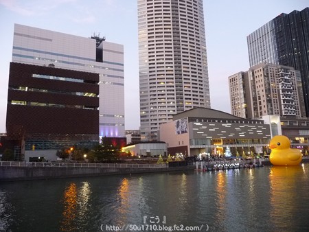 141223-大阪ほたるまち ラバーダック (4)