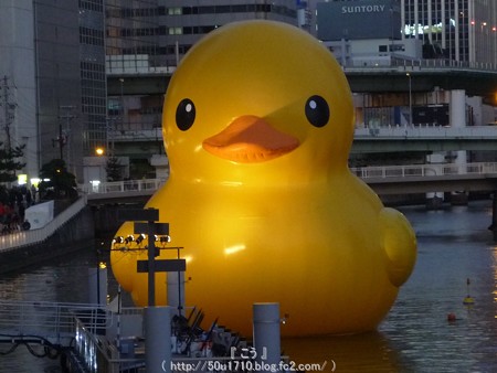 141223-大阪ほたるまち ラバーダック (9)
