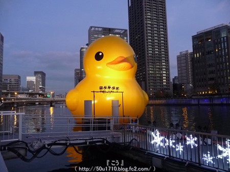 141223-大阪ほたるまち ラバーダック (10)