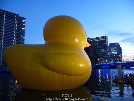 141223-大阪ほたるまち ラバーダック (14)