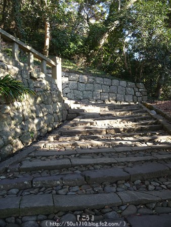 150108-久能山東照宮 参道 (17)